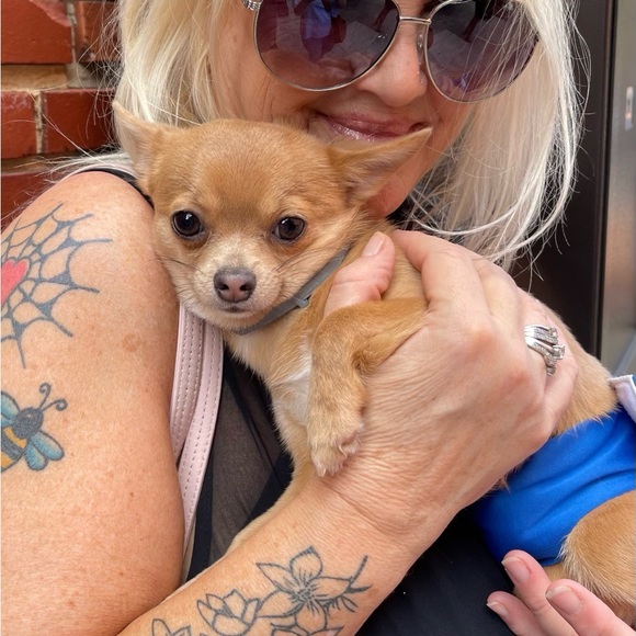 Meet your Posher, Marey (Mugsy j) - Picture 13 of 16